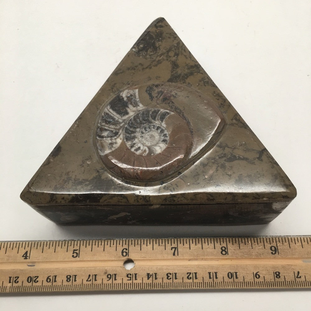 488 Grams Triangular Shape Fossil Ammonite Brown Jewelry Box from Morocco, FM397 - watangem.com