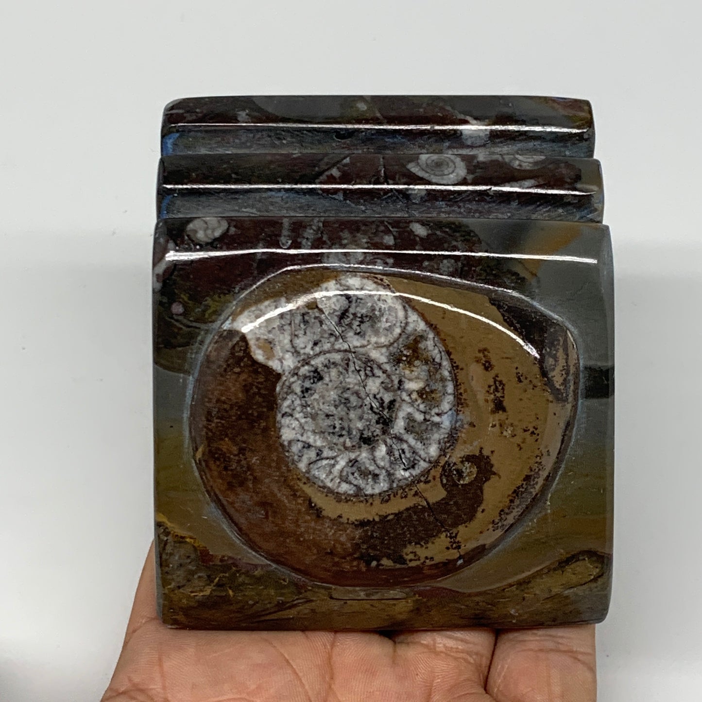 536g, 2.8" x 2.8" x 2" Fossils Orthoceras Ammonite Business Card Holder,B7885