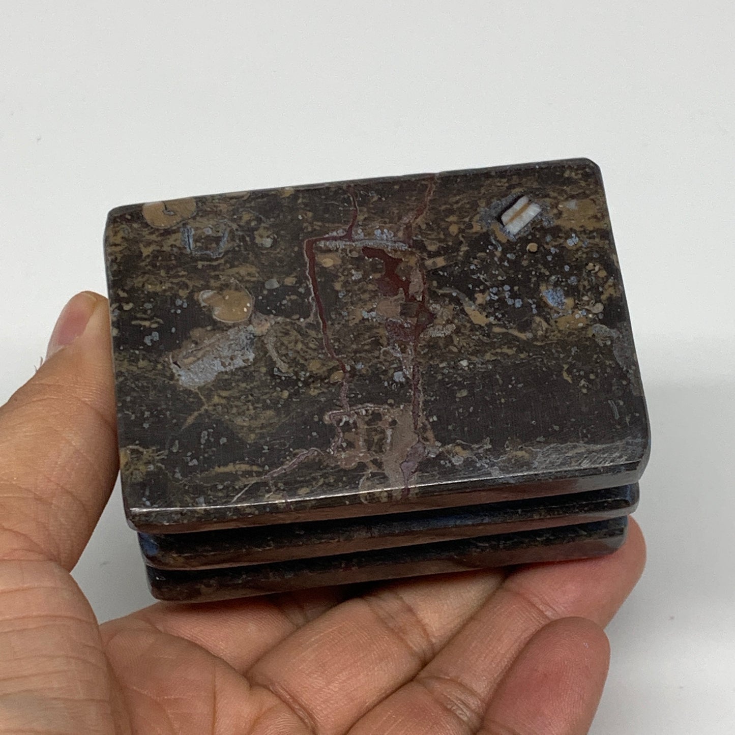 498g, 2.9" x 2.8" x 1.9" Fossils Orthoceras Ammonite Business Card Holder,B8102