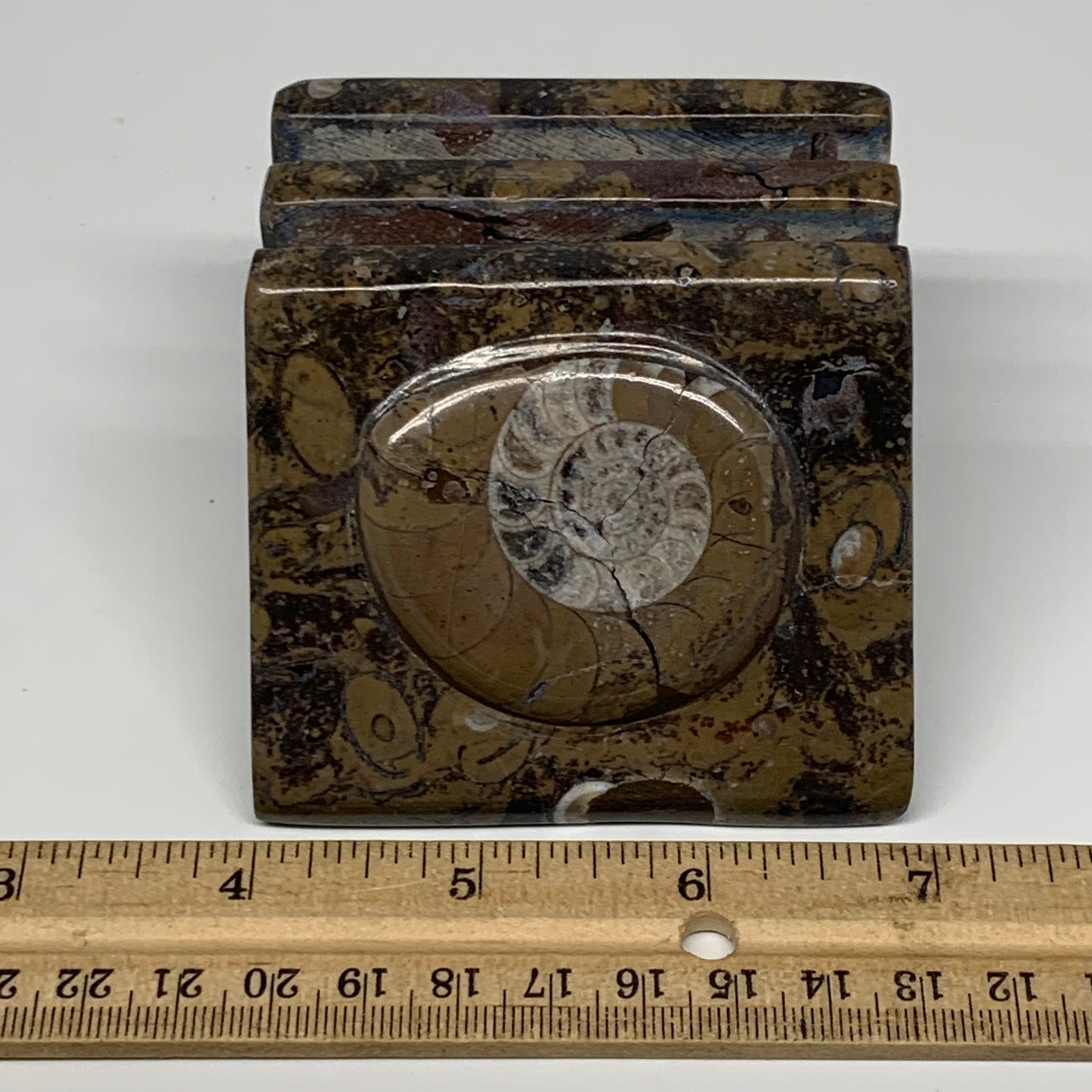 546g, 3" x 2.9" x 2" Fossils Orthoceras Ammonite Business Card Holder,B8109