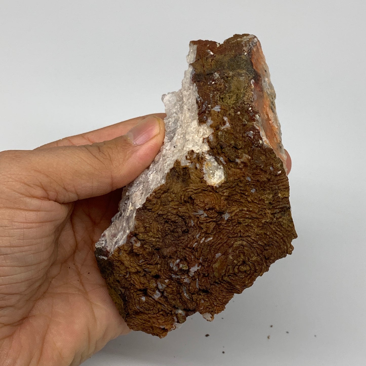 346g, 4.9"x1.9"x1.7", Rare Manganese Cluster With Quartz Mineral Specimen,B10663