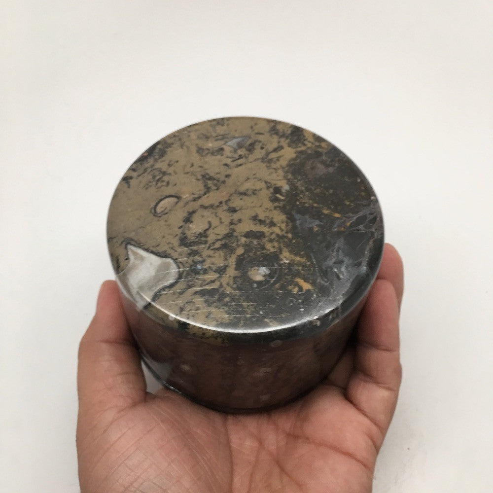 590g Round Shape Fossils Ammonite Brown Medium Jewelry Box @Morocco,MF592 - watangem.com