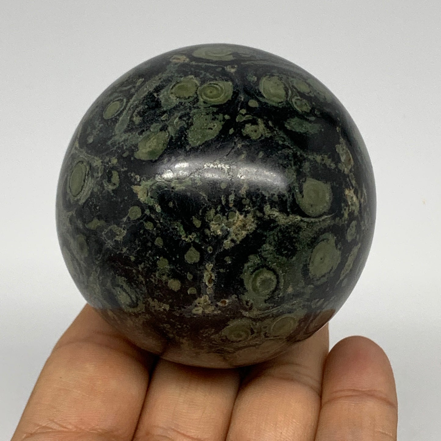 321.5g, 2.4"(61mm), Crocodile Kambaba Jasper Sphere Ball Reiki @Madagascar,B1568