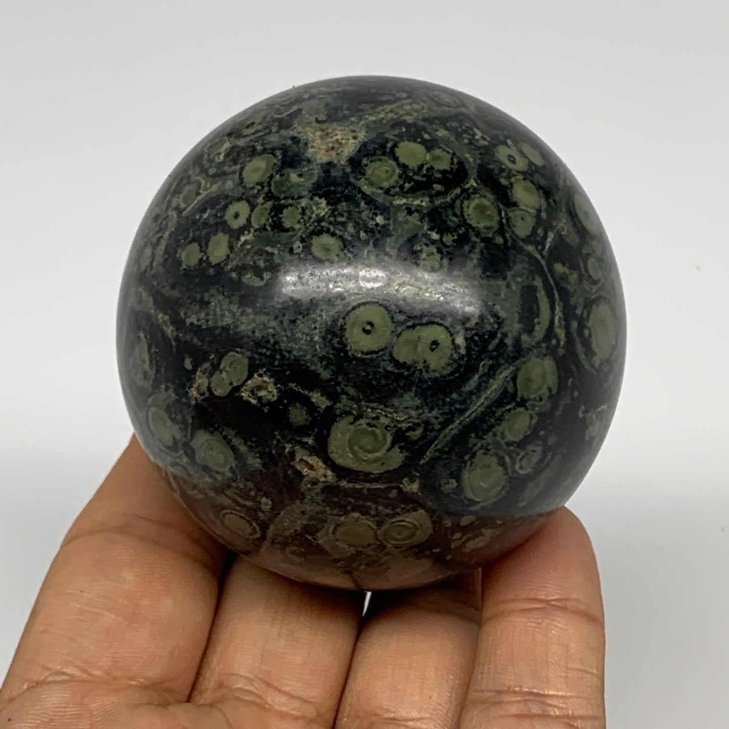 321.5g, 2.4"(61mm), Crocodile Kambaba Jasper Sphere Ball Reiki @Madagascar,B1568