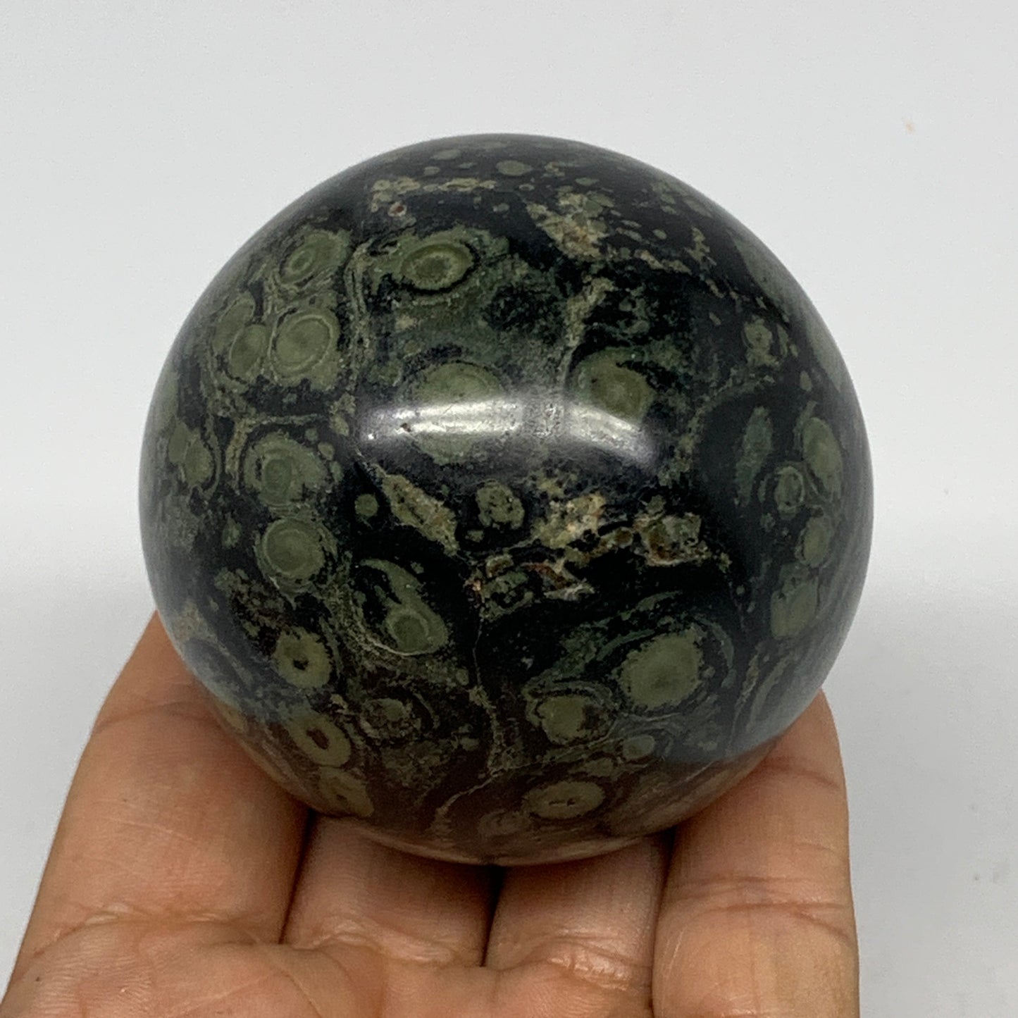 321.5g, 2.4"(61mm), Crocodile Kambaba Jasper Sphere Ball Reiki @Madagascar,B1568