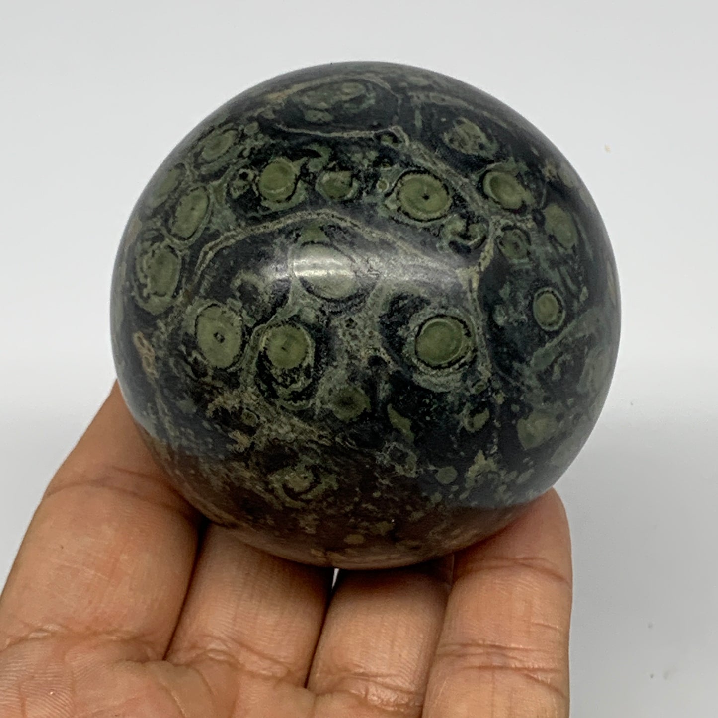 321.5g, 2.4"(61mm), Crocodile Kambaba Jasper Sphere Ball Reiki @Madagascar,B1568