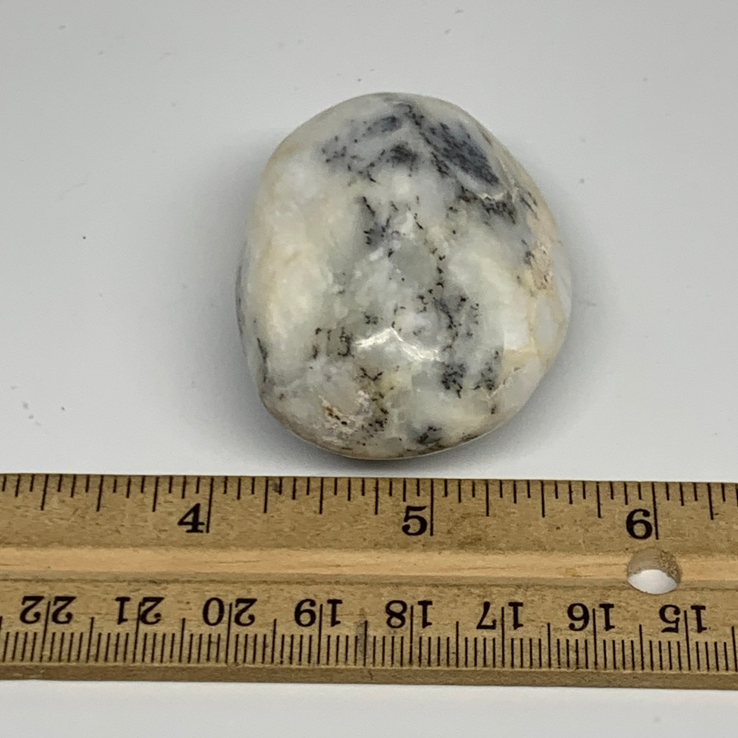 68.5g, 2.1"x1.6"x1.1" Dendrite Opal Palm-Stone Reiki Energy Crystal, B19983