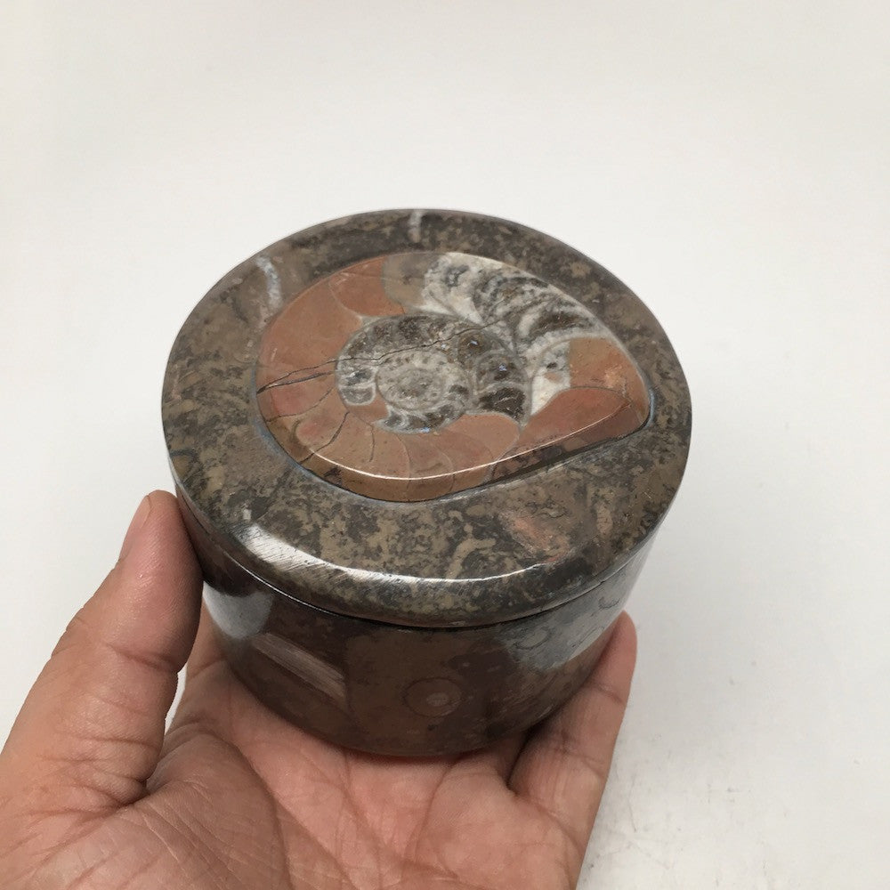 520g Round Shape Fossils Ammonite Brown Medium Jewelry Box @Morocco,MF617 - watangem.com