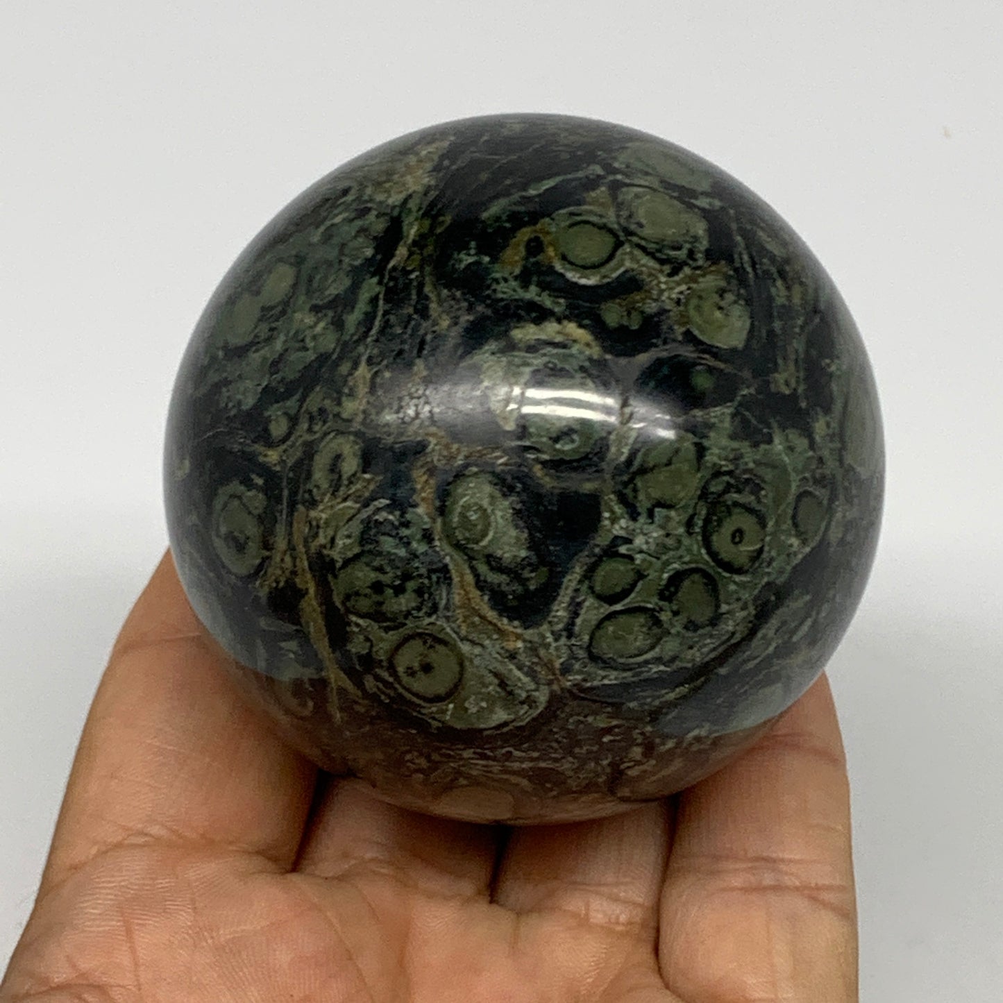 321.2g, 2.4"(59mm), Crocodile Kambaba Jasper Sphere Ball Reiki @Madagascar,B1569