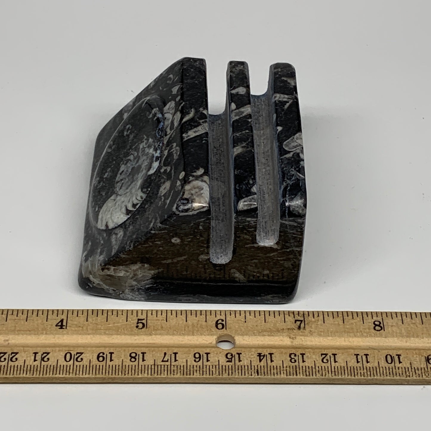 494g, 2.8" x 2.9" x 2" Black Fossils Orthoceras Ammonite Business Card Holder,B8