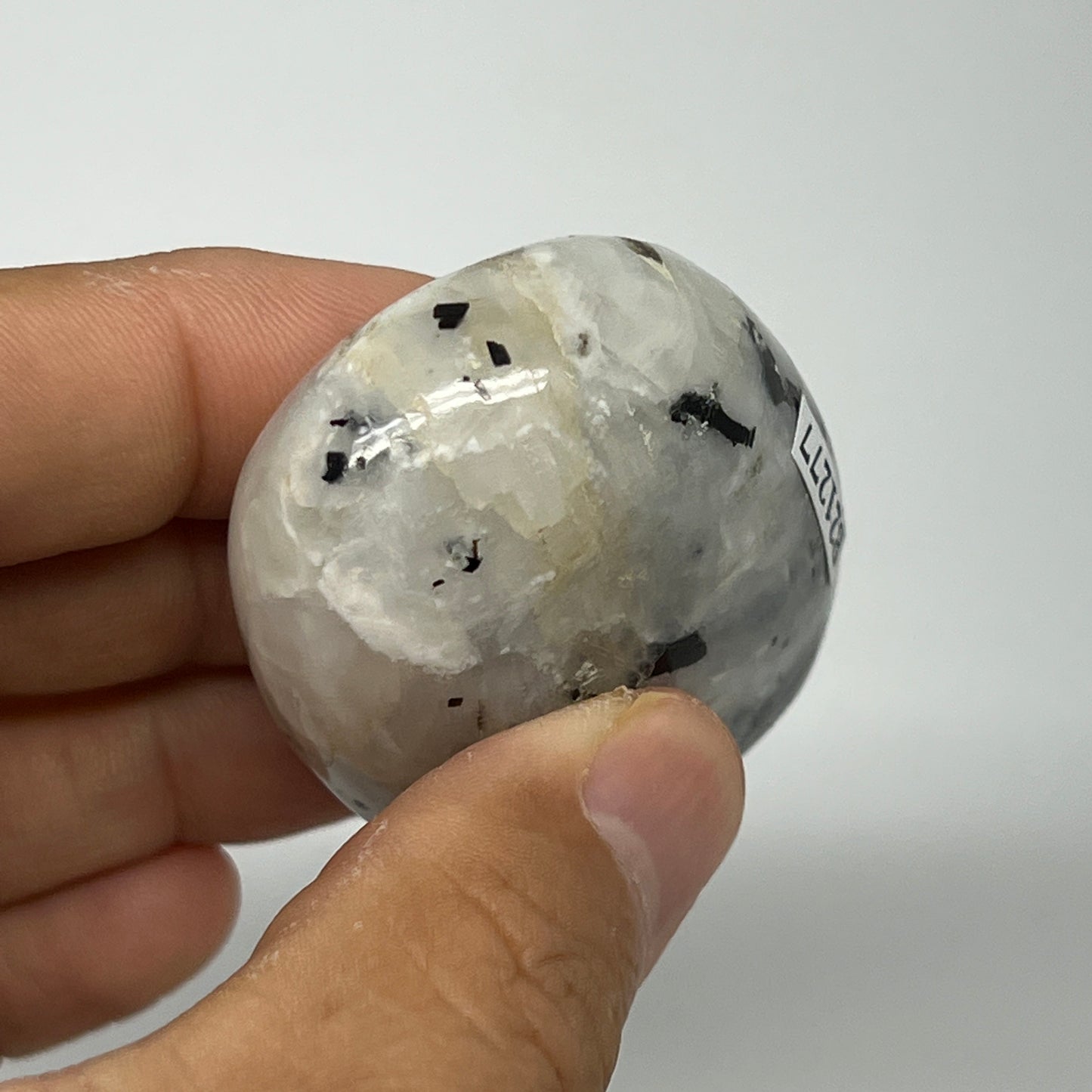 76.8g,2.2"x1.5"x0.9", Rainbow Moonstone Palm-Stone Polished from India, B21277