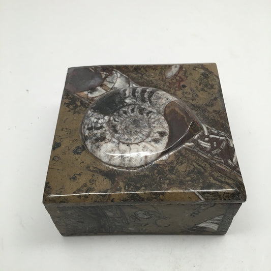 470g Square Shape Orthoceras Fossil Ammonite Brown Jewelry Box @Morocco, FJ55 - watangem.com