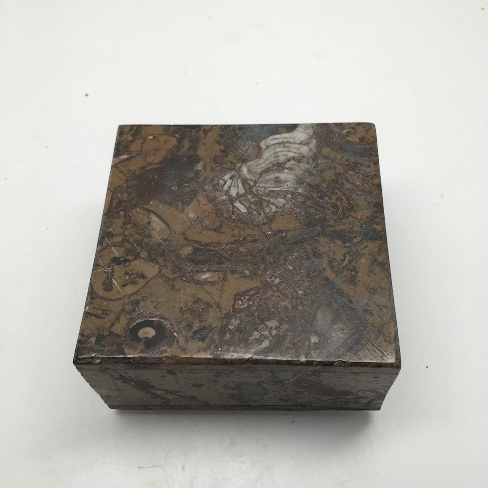 470g Square Shape Orthoceras Fossil Ammonite Brown Jewelry Box @Morocco, FJ55 - watangem.com