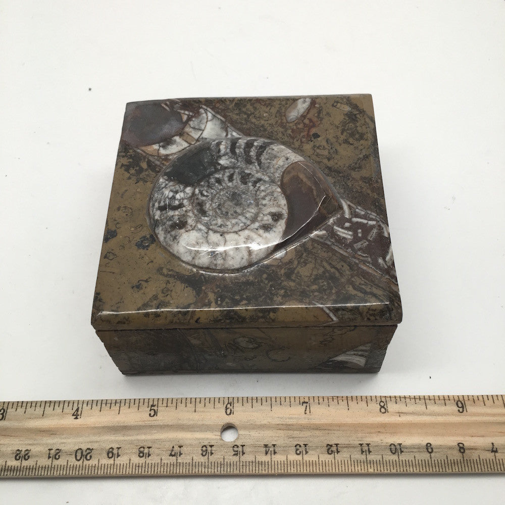 470g Square Shape Orthoceras Fossil Ammonite Brown Jewelry Box @Morocco, FJ55 - watangem.com