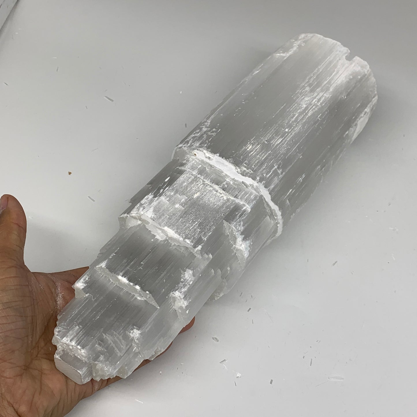 7 lb,12"x3.5" White Selenite (Satin Spar) Rough Lamp W/Chord @Morocco,B12386