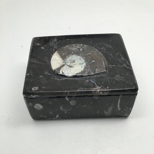 516g Rectangle Shape Orthoceras Fossil Ammonite Black Jewelry Box @Morocco, FJ68 - watangem.com