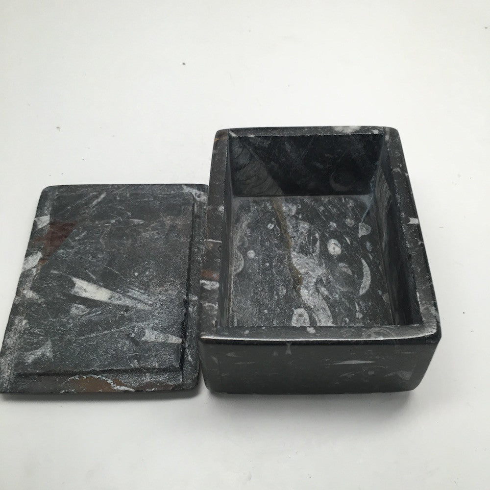 502g Rectangle Shape Orthoceras Fossil Ammonite Black Jewelry Box @Morocco, FJ72 - watangem.com