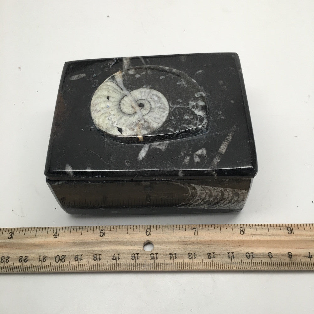 502g Rectangle Shape Orthoceras Fossil Ammonite Black Jewelry Box @Morocco, FJ72 - watangem.com