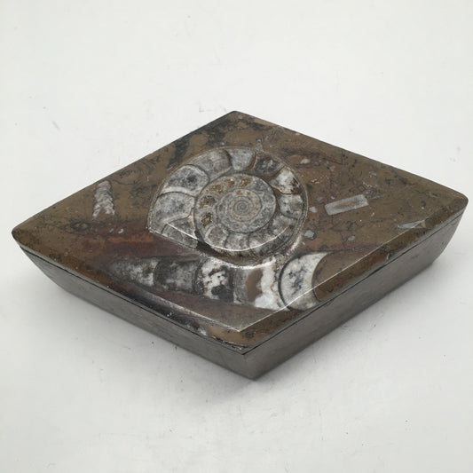 400g Marquise Shape Orthoceras Fossil Ammonite Brown Jewelry Box @Morocco, FJ105 - watangem.com