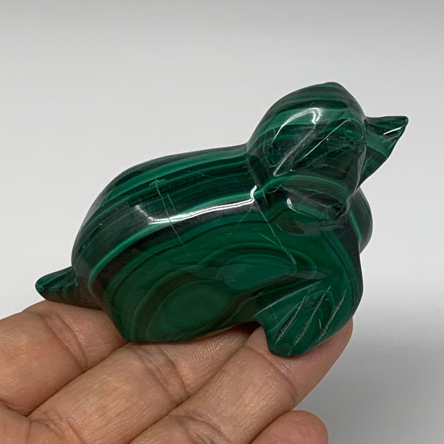 168.5g, 3.2"x1.2"x1.8" Solid Malachite Sea Lion Figurine @Congo, B7207