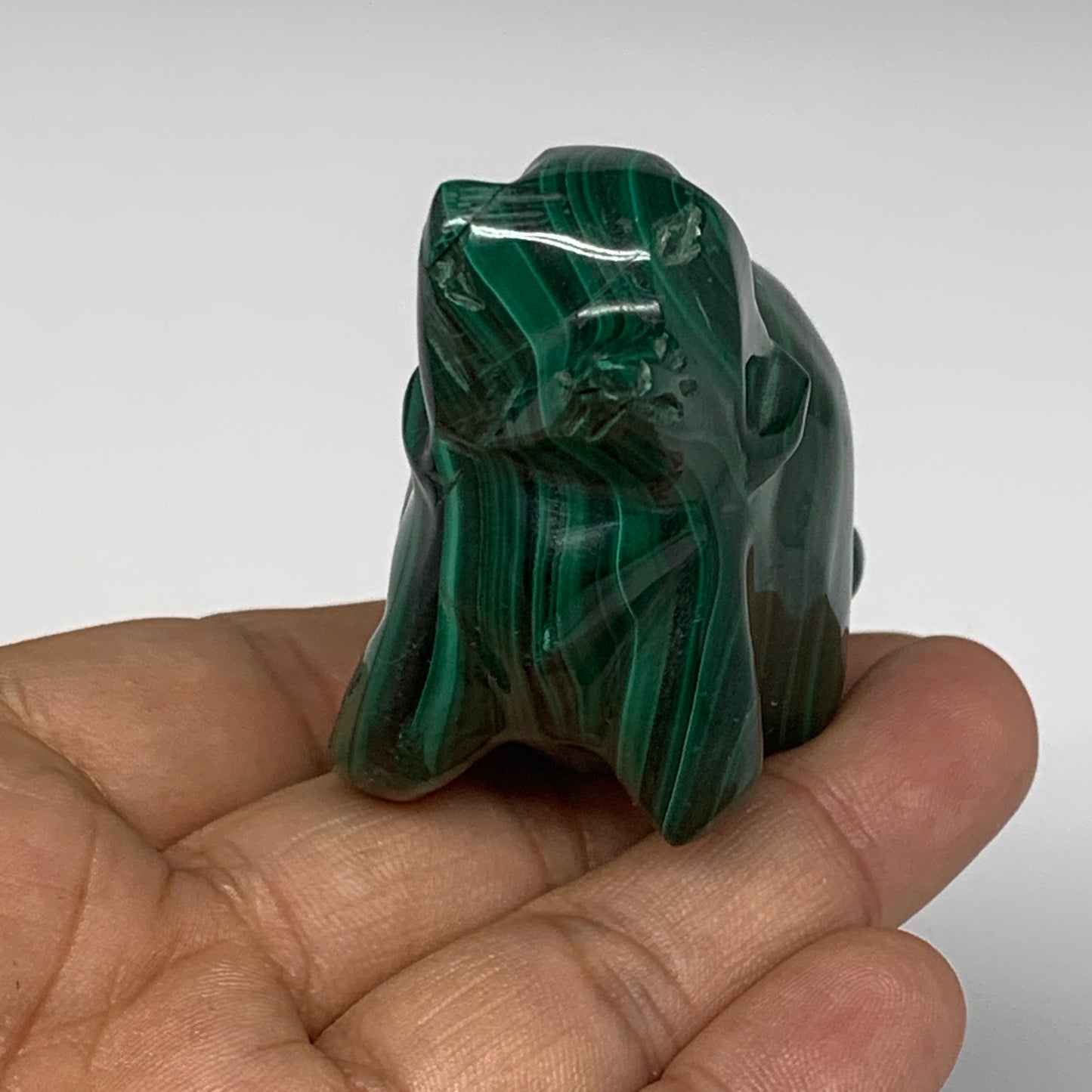 168.5g, 3.2"x1.2"x1.8" Solid Malachite Sea Lion Figurine @Congo, B7207