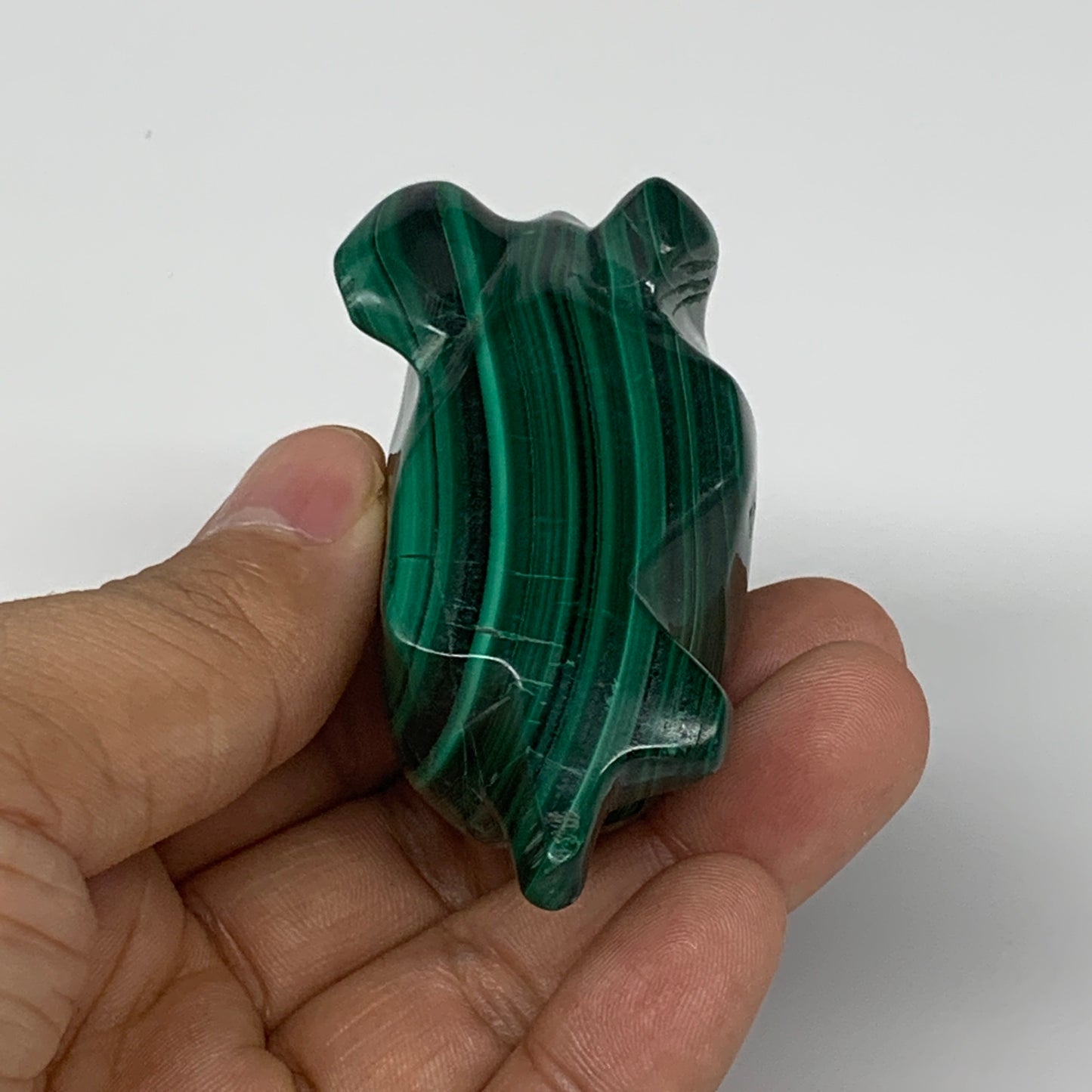 168.5g, 3.2"x1.2"x1.8" Solid Malachite Sea Lion Figurine @Congo, B7207