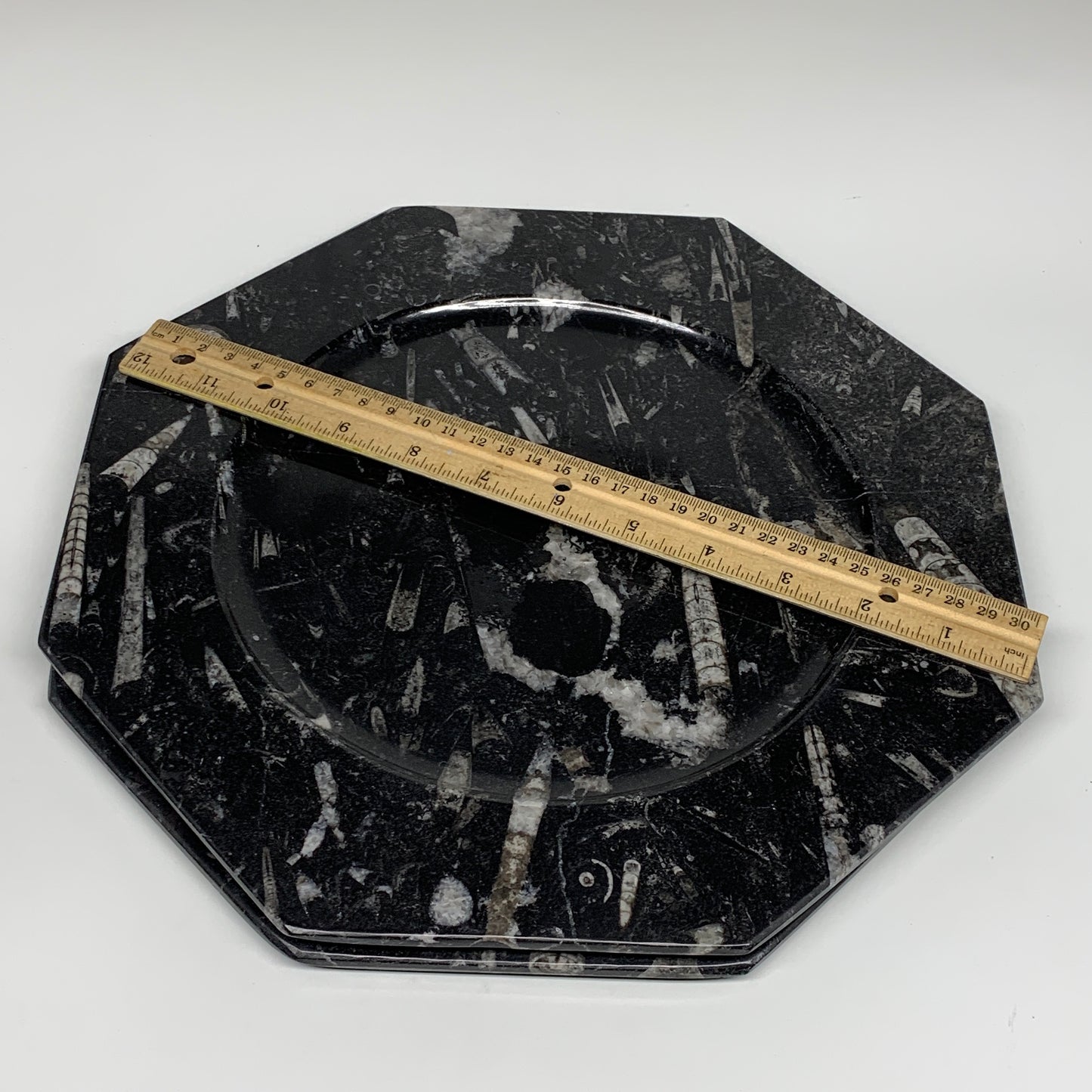 2pcs, 12" Large Octagon Shape Black Fossils Orthoceras Plates @Morocco, B8305