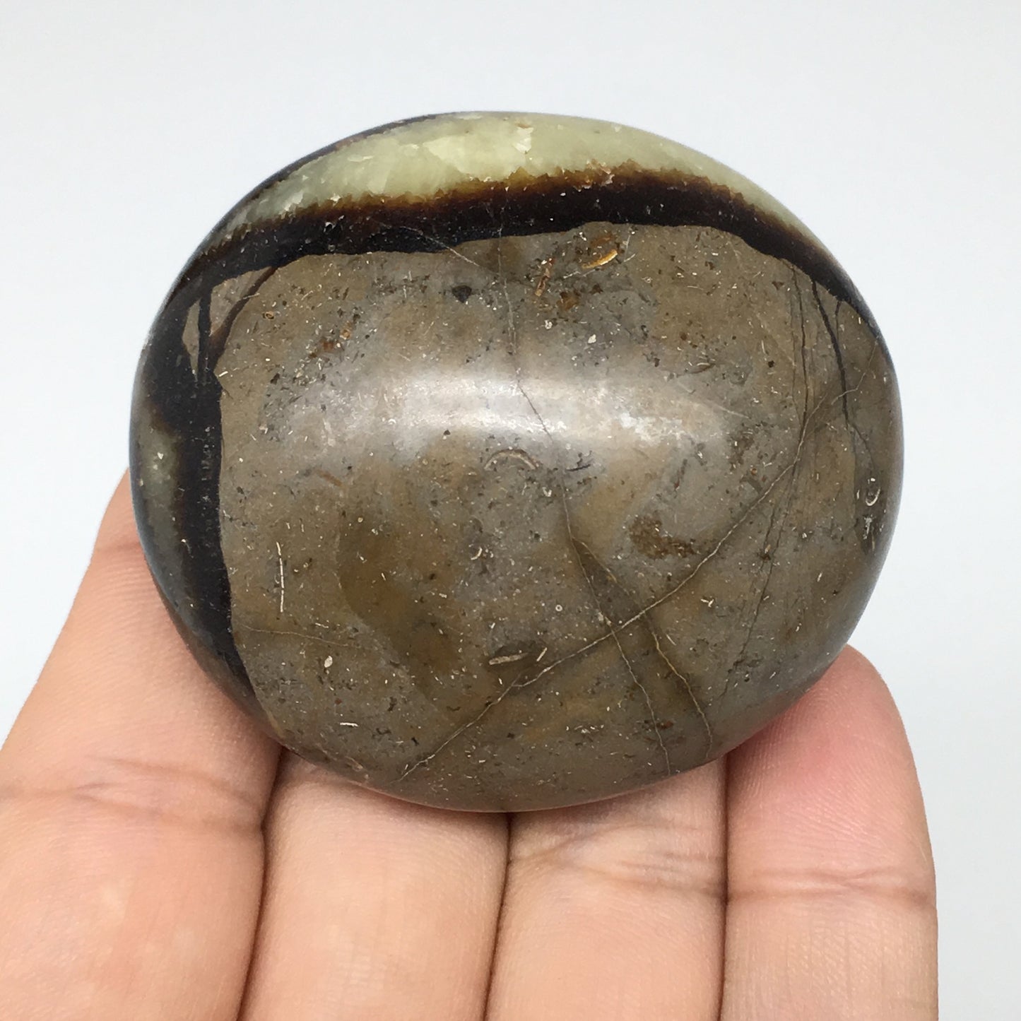 113.2g,2.1"x1.9"x1.3" Septarian Nodule Palm-Stone Polished Reiki Madagascar,B605