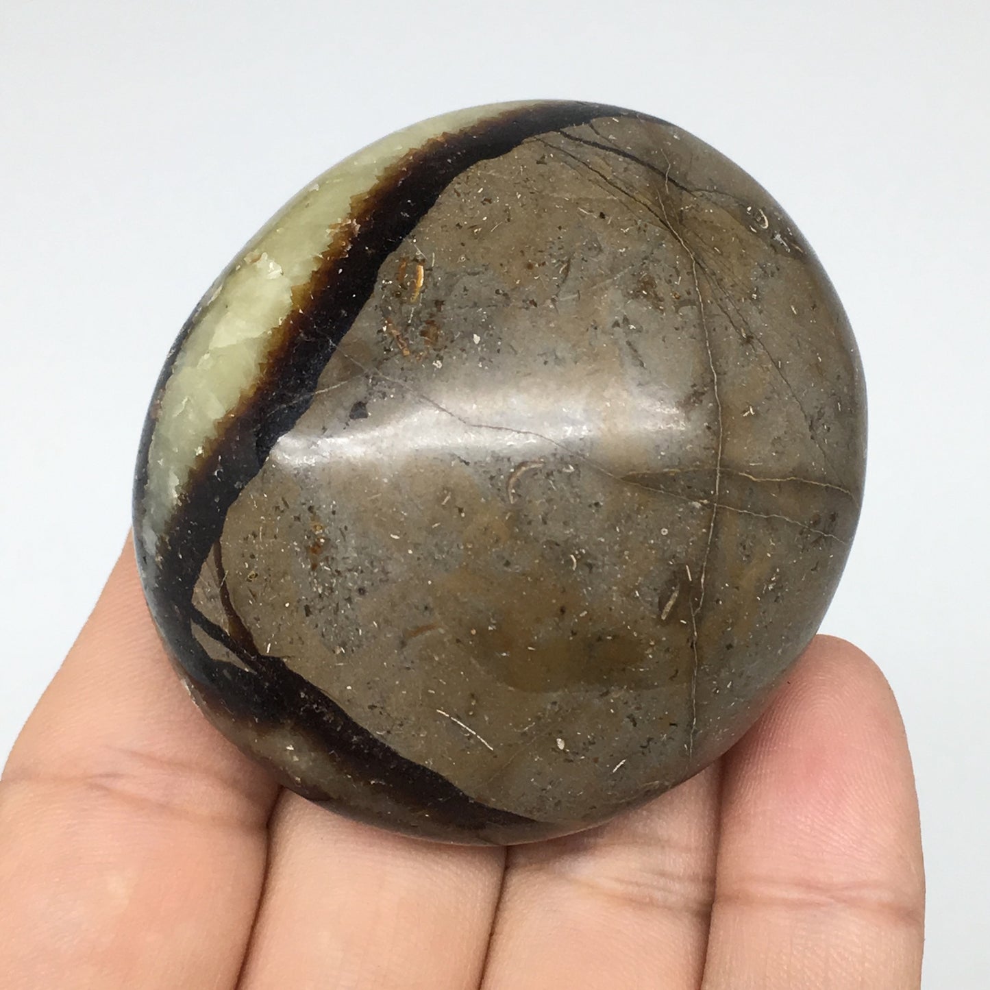 113.2g,2.1"x1.9"x1.3" Septarian Nodule Palm-Stone Polished Reiki Madagascar,B605