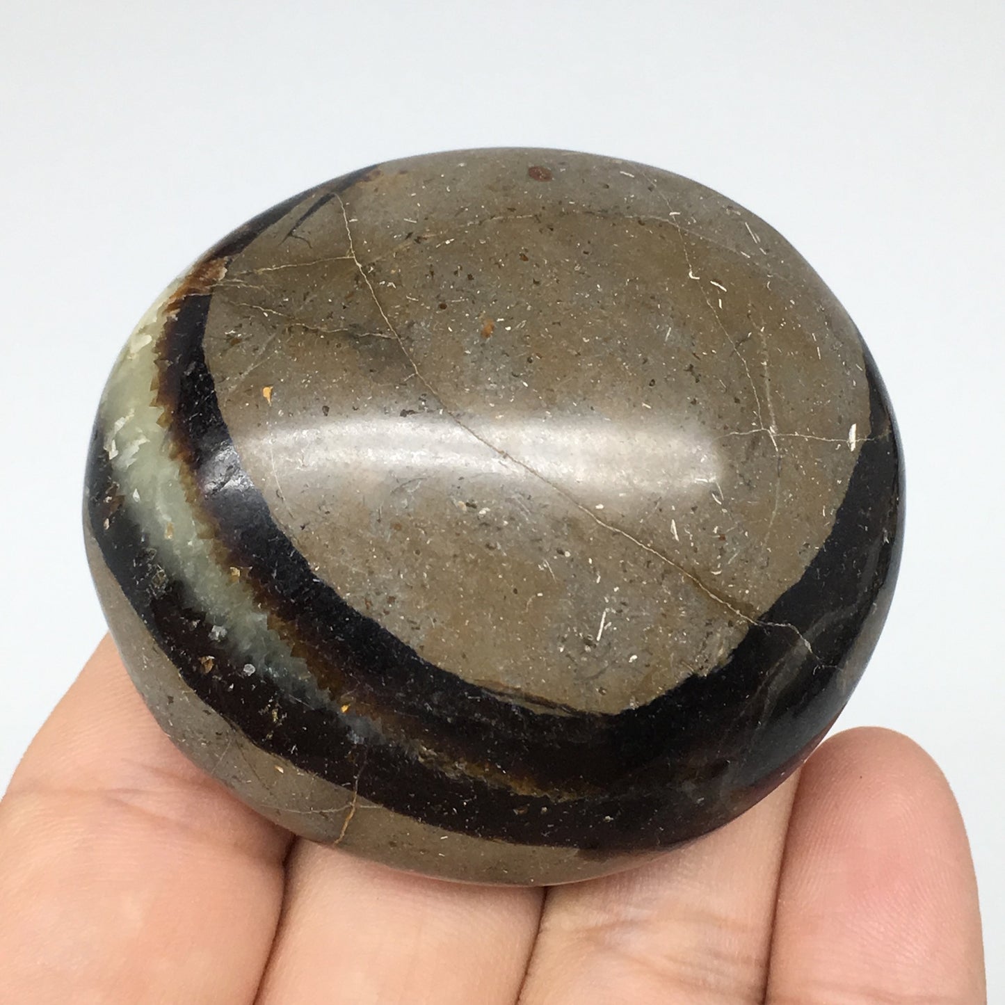 113.2g,2.1"x1.9"x1.3" Septarian Nodule Palm-Stone Polished Reiki Madagascar,B605