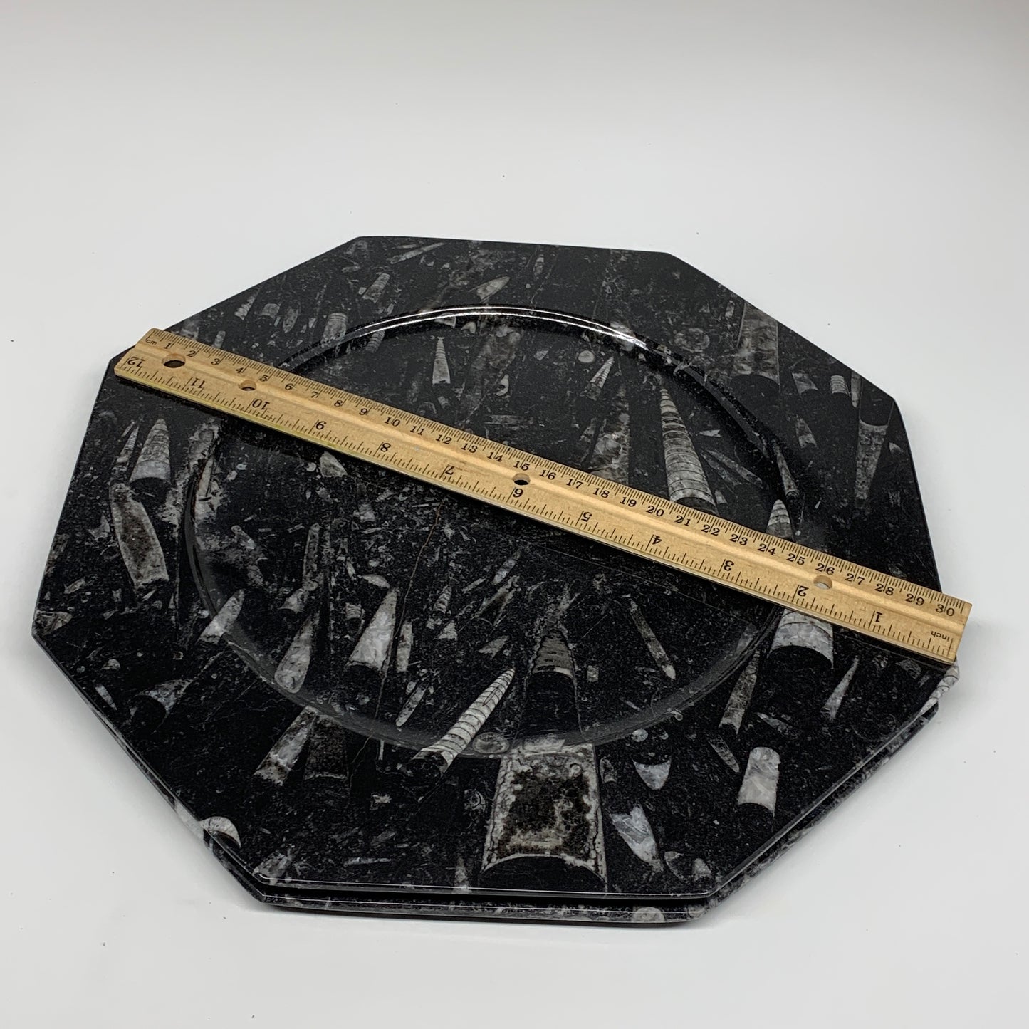 2pcs, 12" Large Octagon Shape Black Fossils Orthoceras Plates @Morocco, B8325