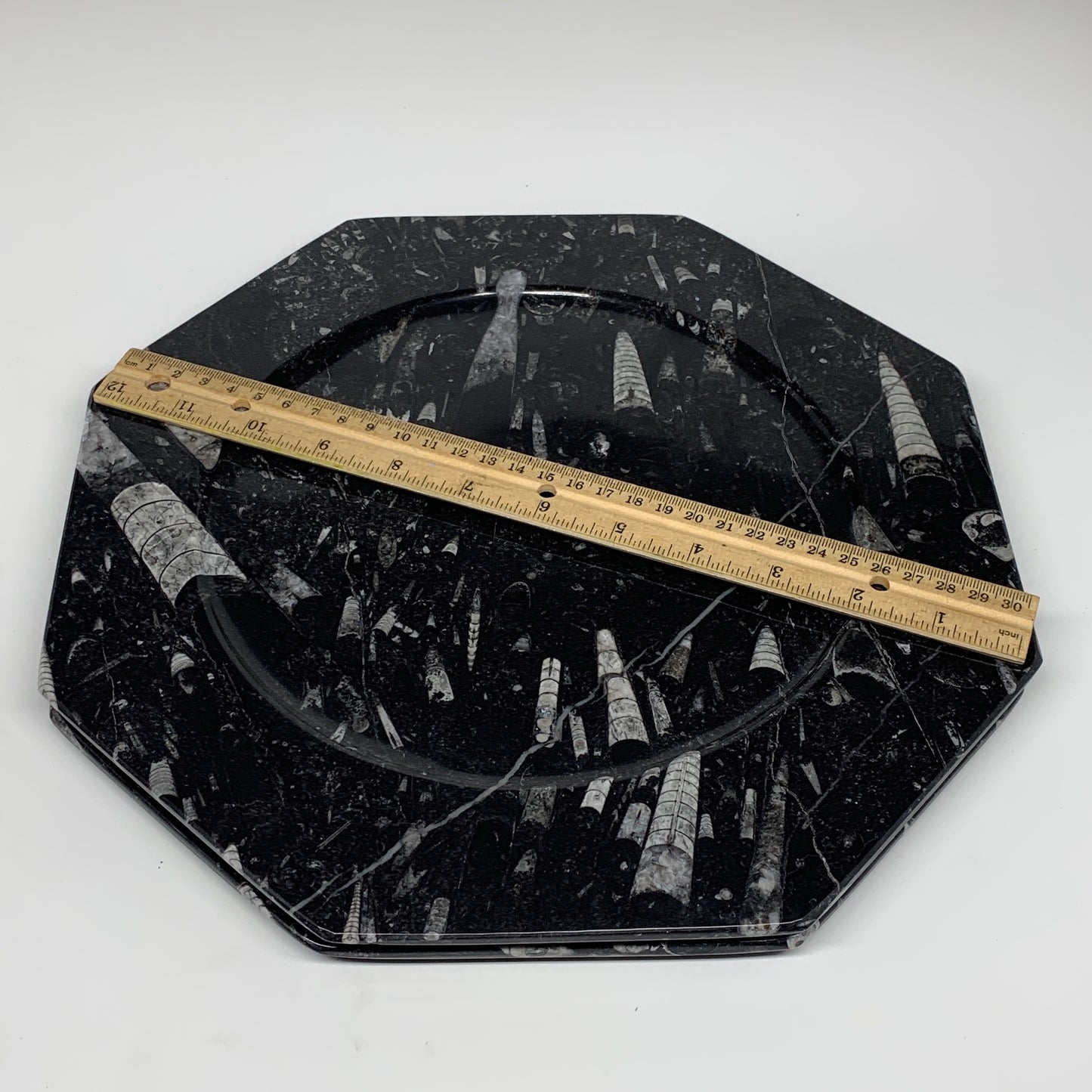 2pcs, 12" Large Octagon Shape Black Fossils Orthoceras Plates @Morocco, B8347