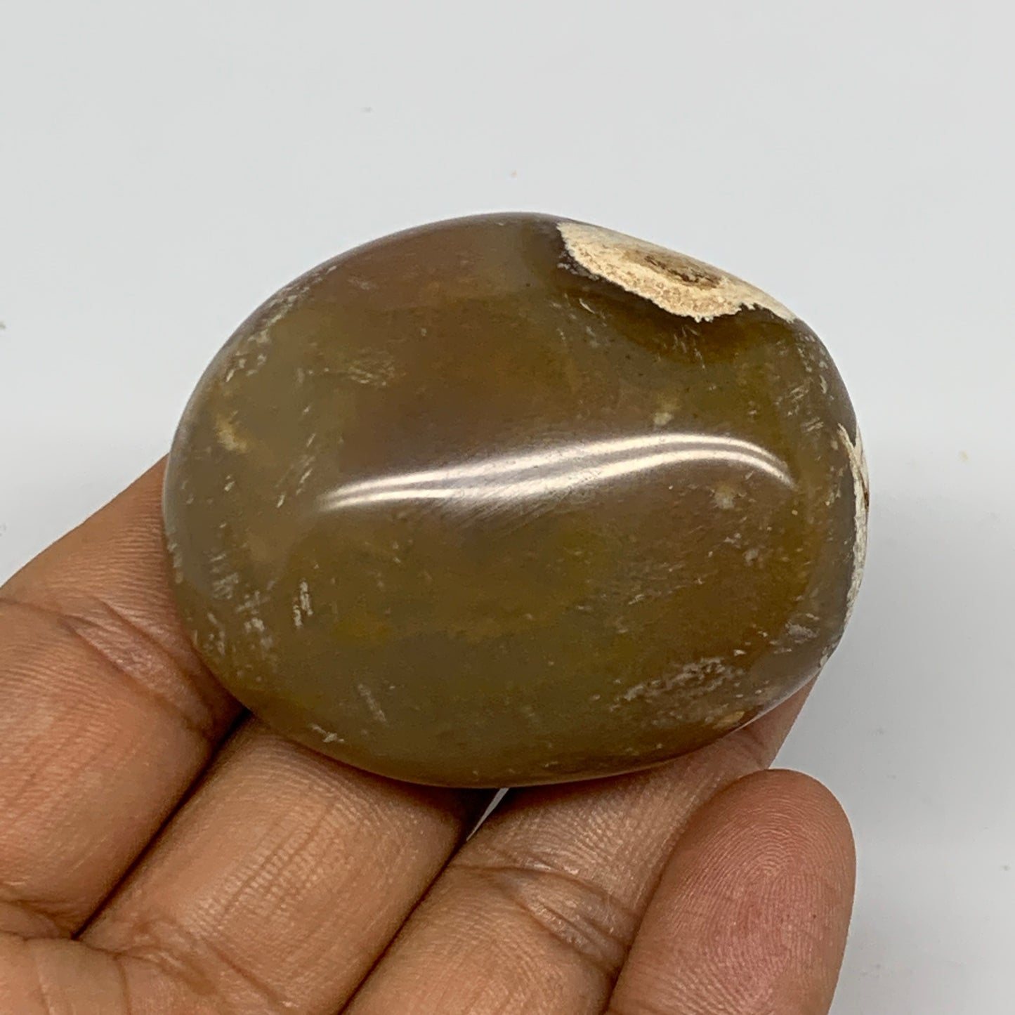 70.6g, 2"x1.7"x1", Yellow Ocean Jasper Palm-Stone Decor @Madagascar, B18178