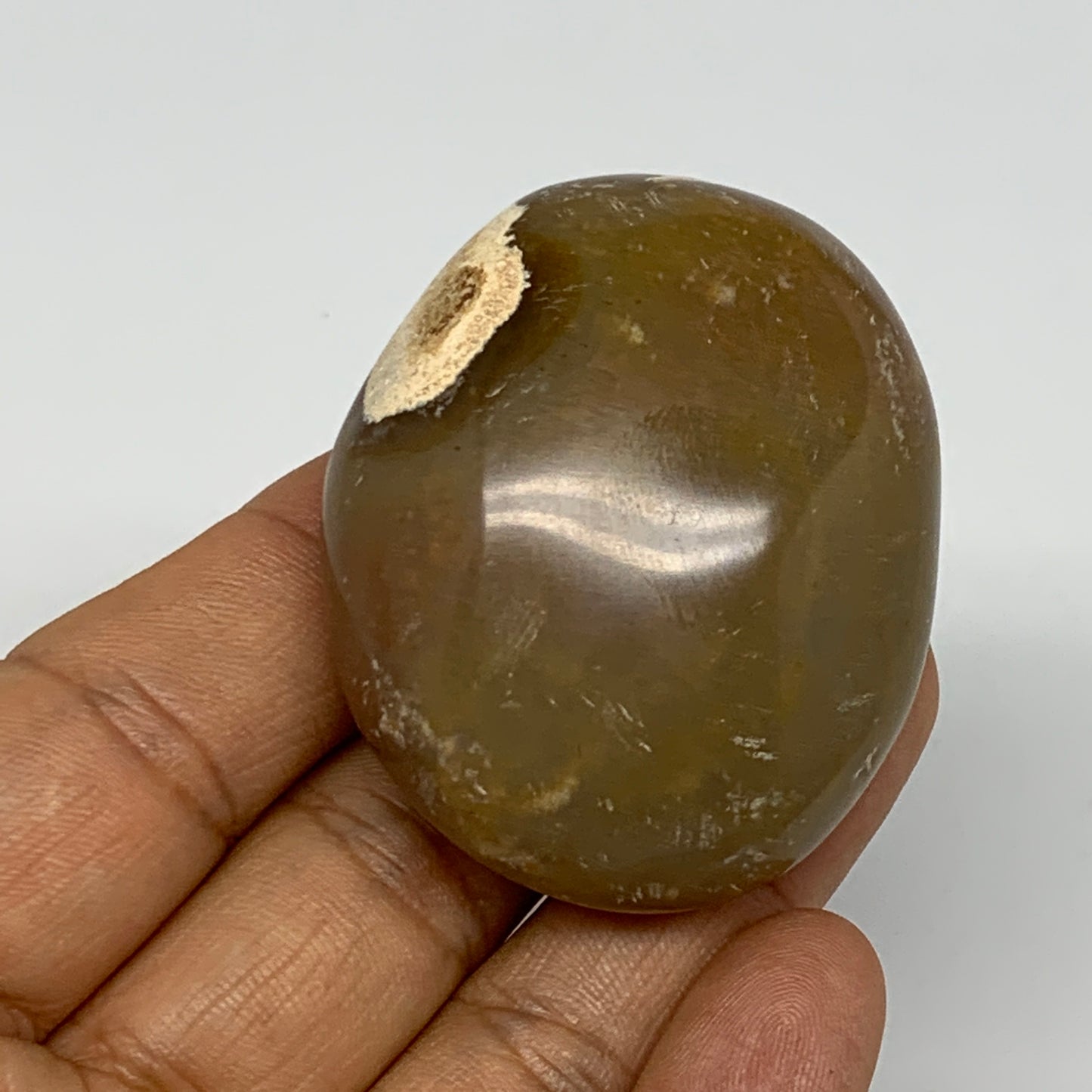 70.6g, 2"x1.7"x1", Yellow Ocean Jasper Palm-Stone Decor @Madagascar, B18178