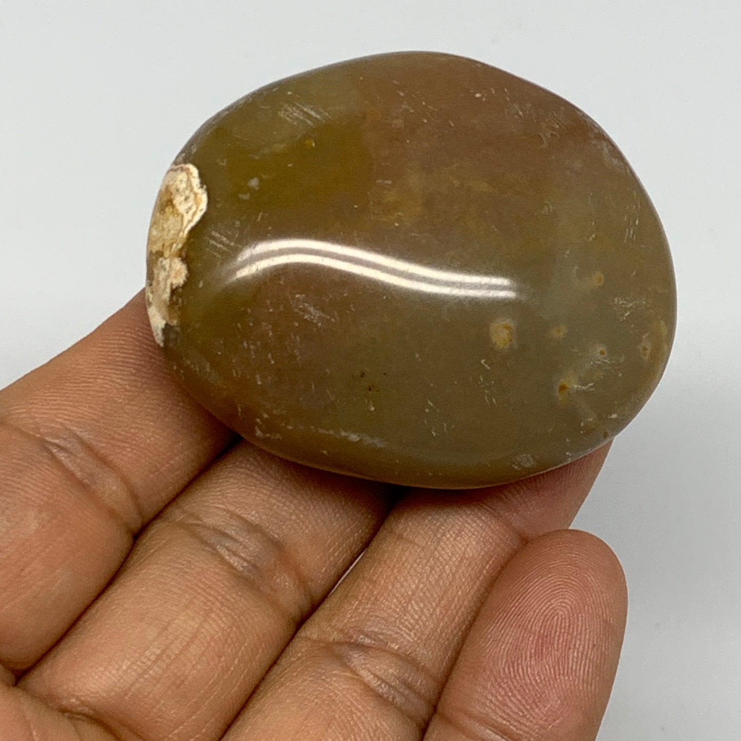 70.6g, 2"x1.7"x1", Yellow Ocean Jasper Palm-Stone Decor @Madagascar, B18178