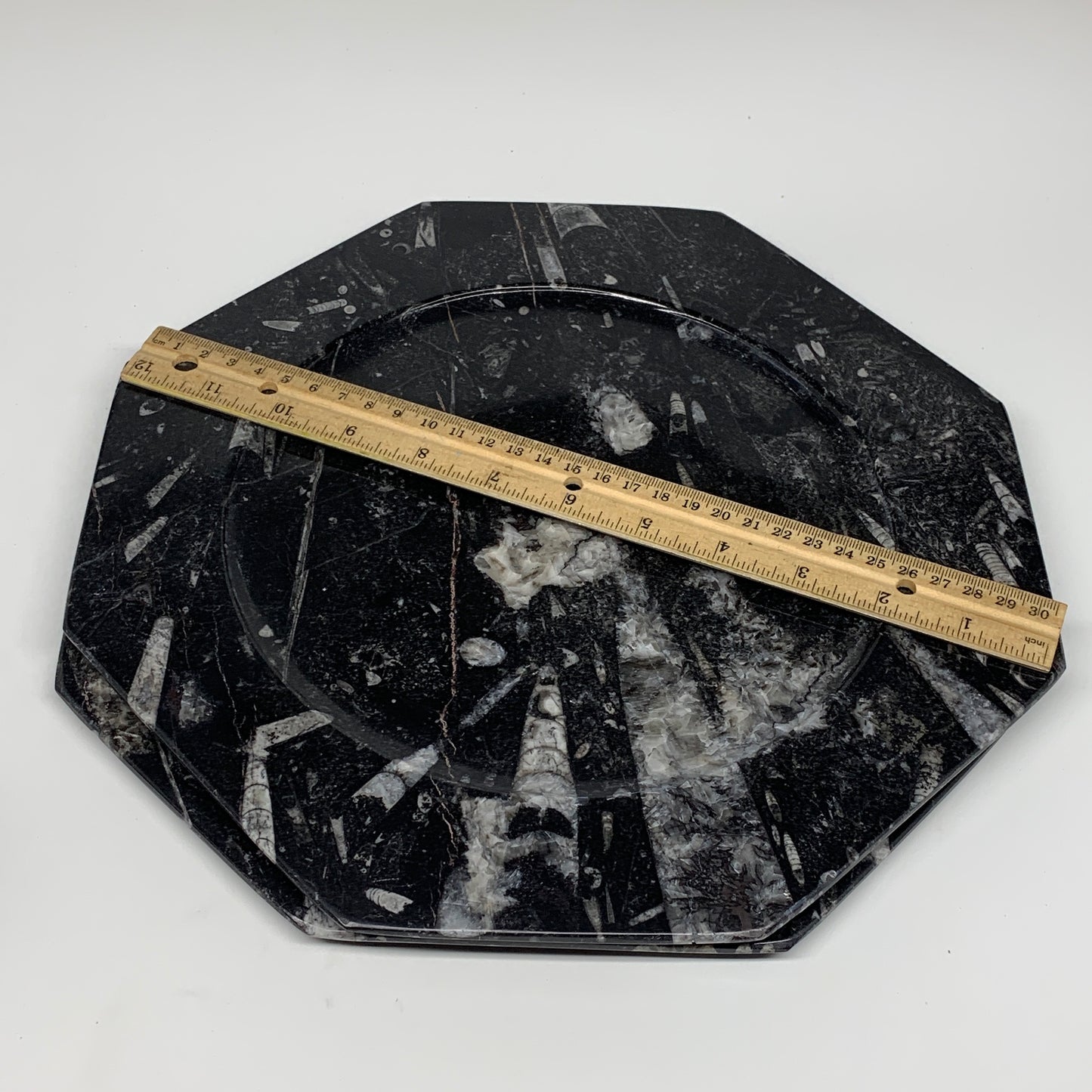 2pcs, 12" Large Octagon Shape Black Fossils Orthoceras Plates @Morocco, B8357