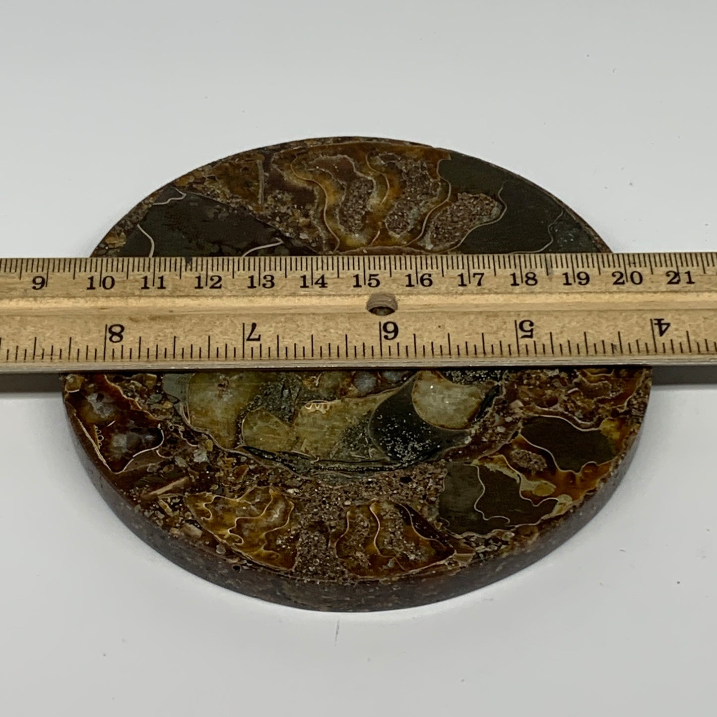 227.9g, 4.4"x0.4", Ammonite coaster fossils made round disc @Madagascar, B15052