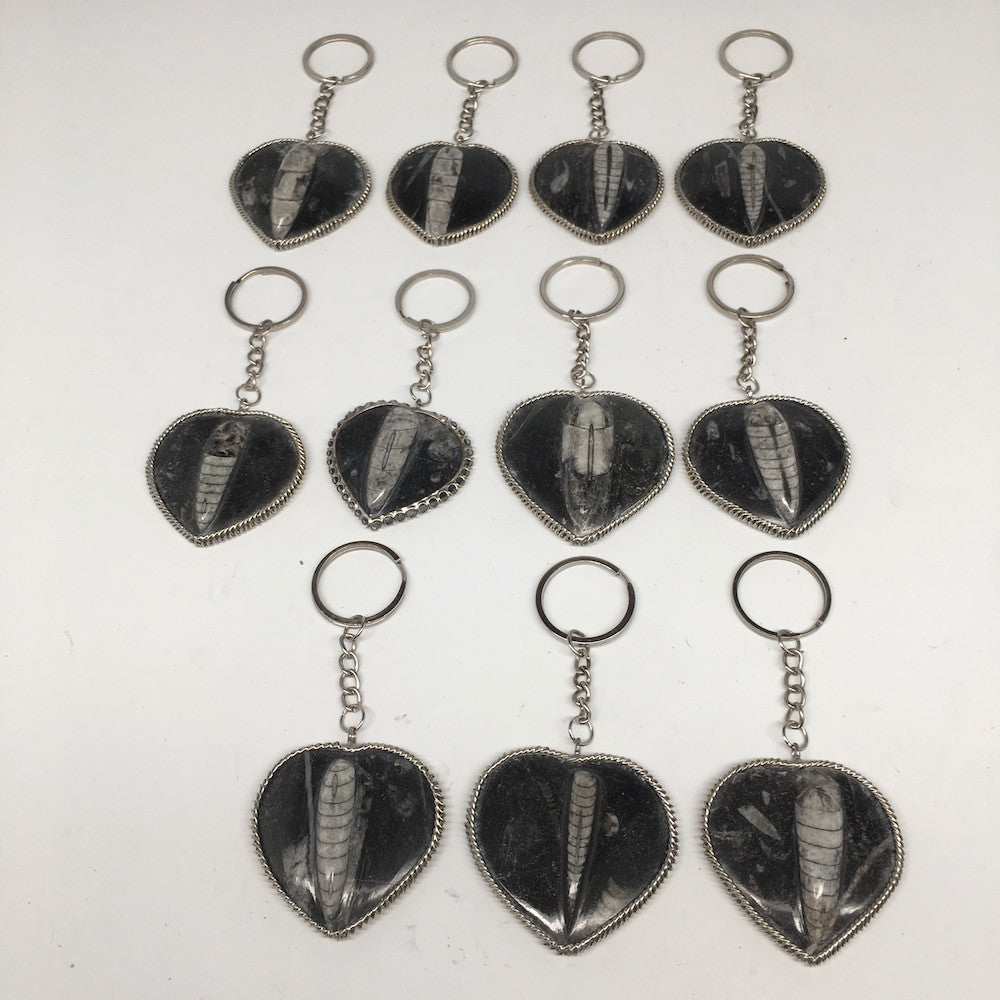 1pc, 4.25"-4.5", 26g-40g, Black Orthoceras Fossil Heart Keychain @Morocco,FP08 - watangem.com