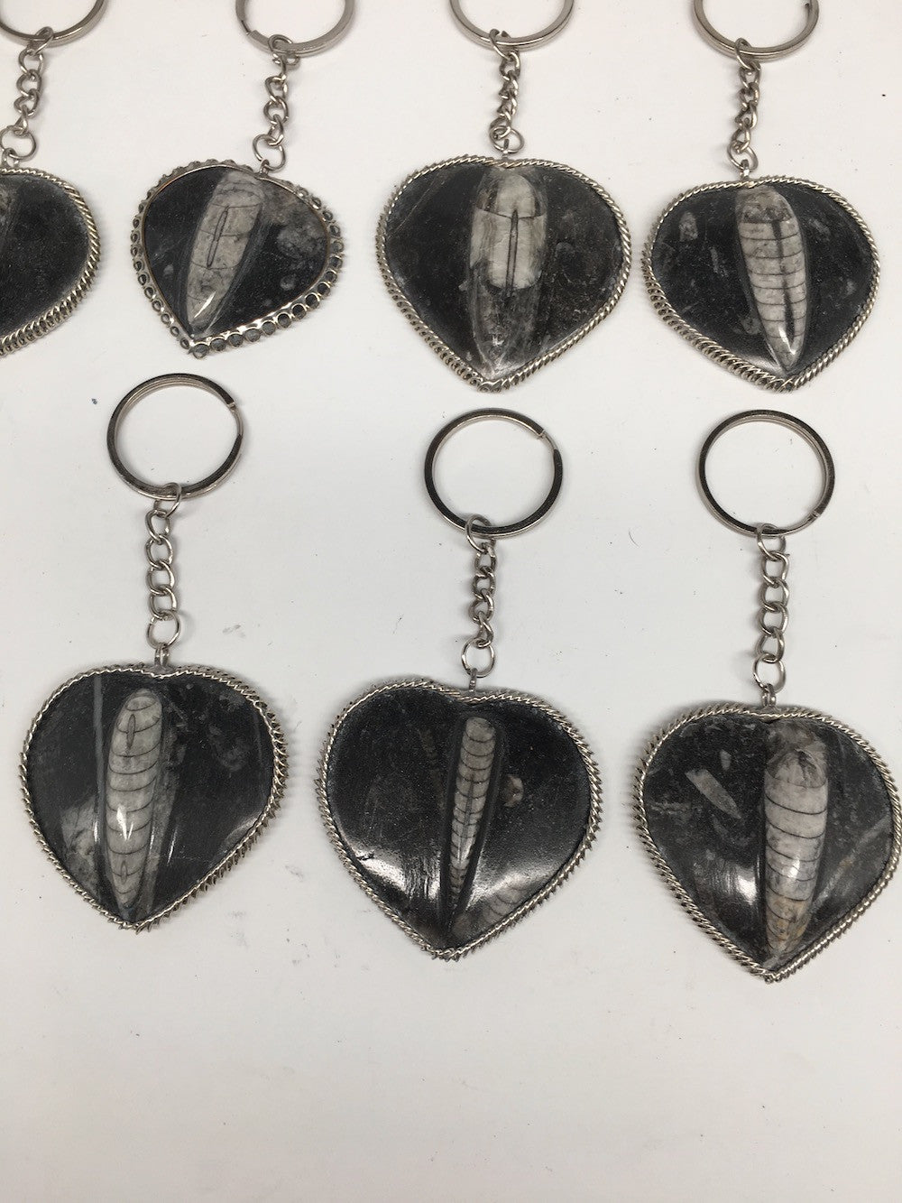 1pc, 4.25"-4.5", 26g-40g, Black Orthoceras Fossil Heart Keychain @Morocco,FP08 - watangem.com