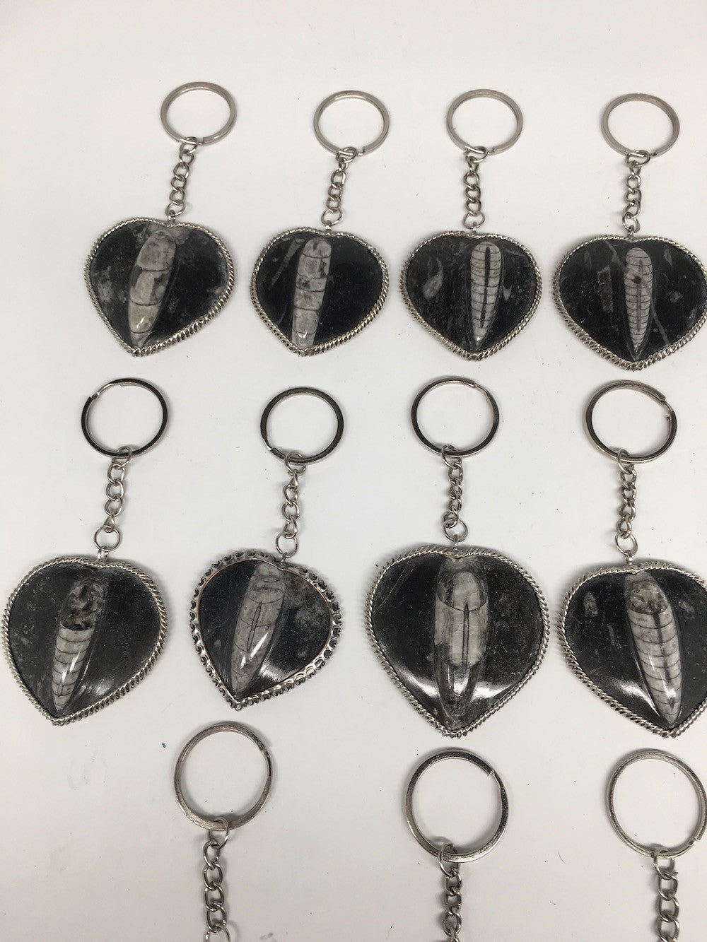 1pc, 4.25"-4.5", 26g-40g, Black Orthoceras Fossil Heart Keychain @Morocco,FP08 - watangem.com