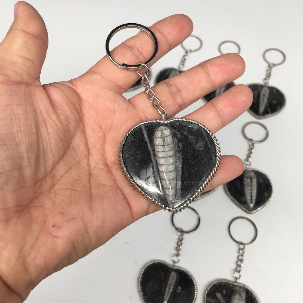 1pc, 4.25"-4.5", 26g-40g, Black Orthoceras Fossil Heart Keychain @Morocco,FP08 - watangem.com