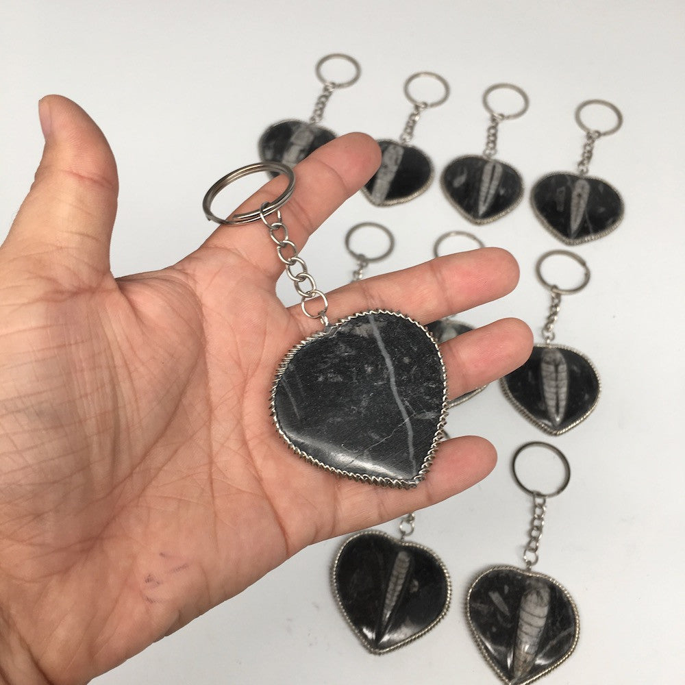 1pc, 4.25"-4.5", 26g-40g, Black Orthoceras Fossil Heart Keychain @Morocco,FP08 - watangem.com