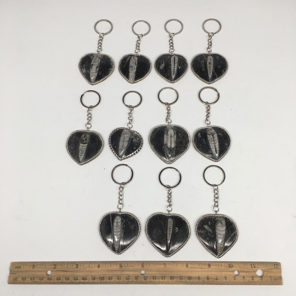 1pc, 4.25"-4.5", 26g-40g, Black Orthoceras Fossil Heart Keychain @Morocco,FP08 - watangem.com