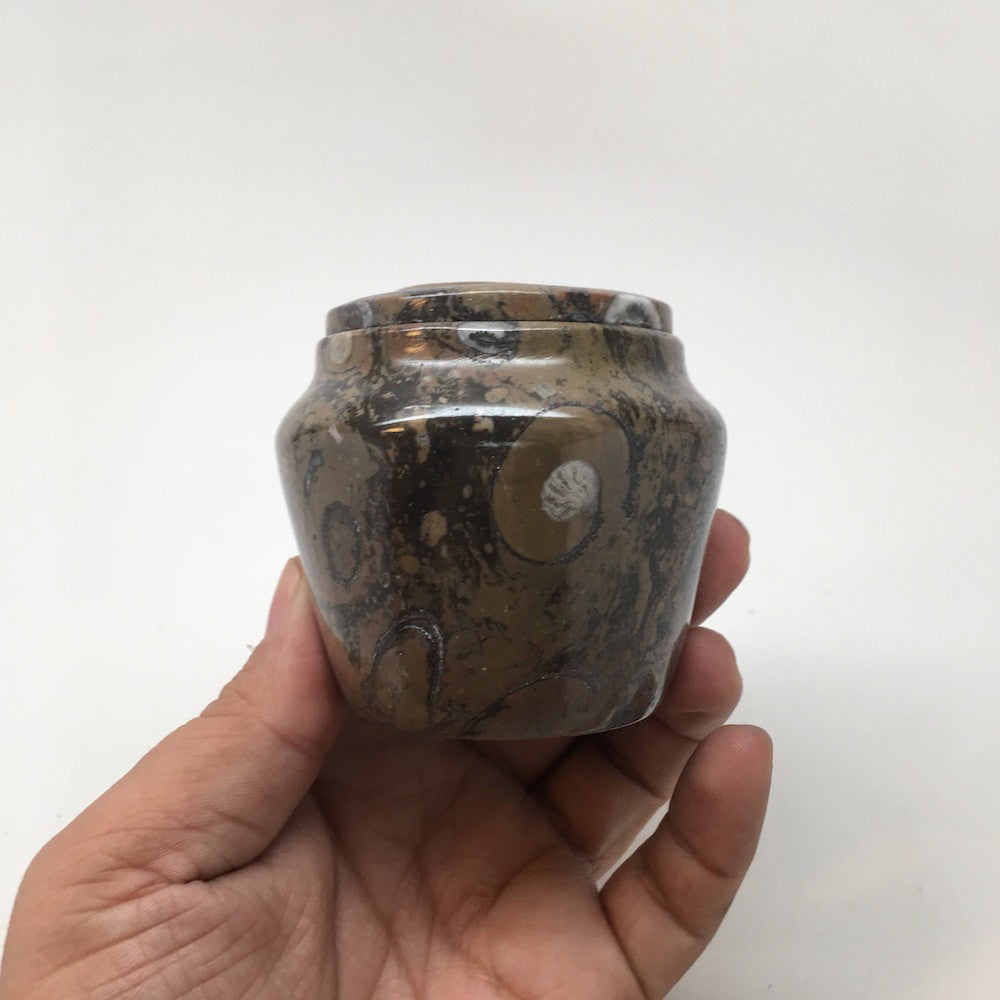 254g, 2.6"x2.7" Small Round Fossils Ammonite Brown Jewelry Box @Morocco,MF851 - watangem.com