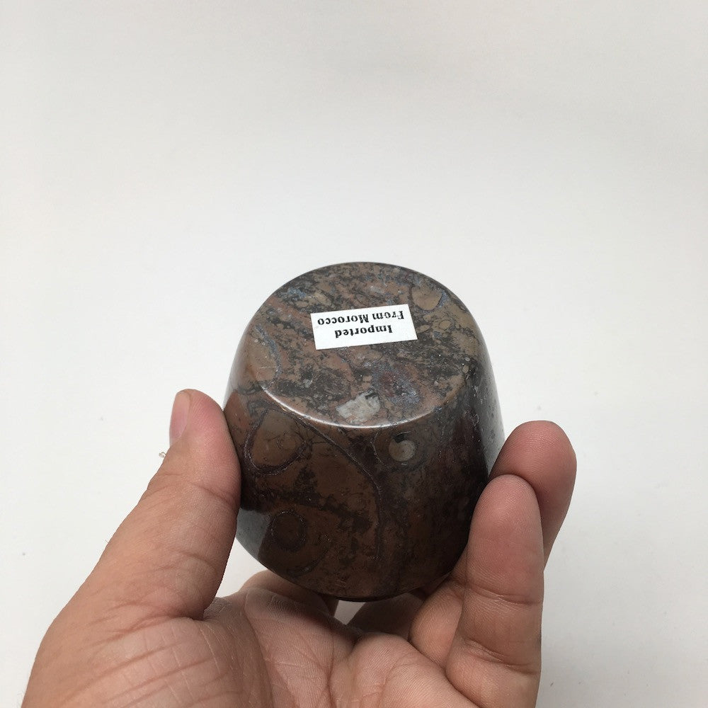 254g, 2.6"x2.7" Small Round Fossils Ammonite Brown Jewelry Box @Morocco,MF851 - watangem.com