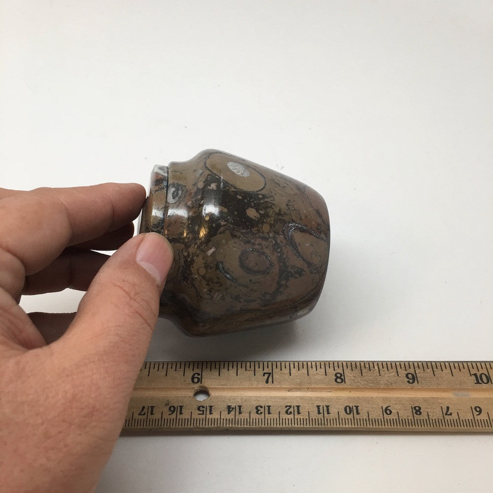 254g, 2.6"x2.7" Small Round Fossils Ammonite Brown Jewelry Box @Morocco,MF851 - watangem.com