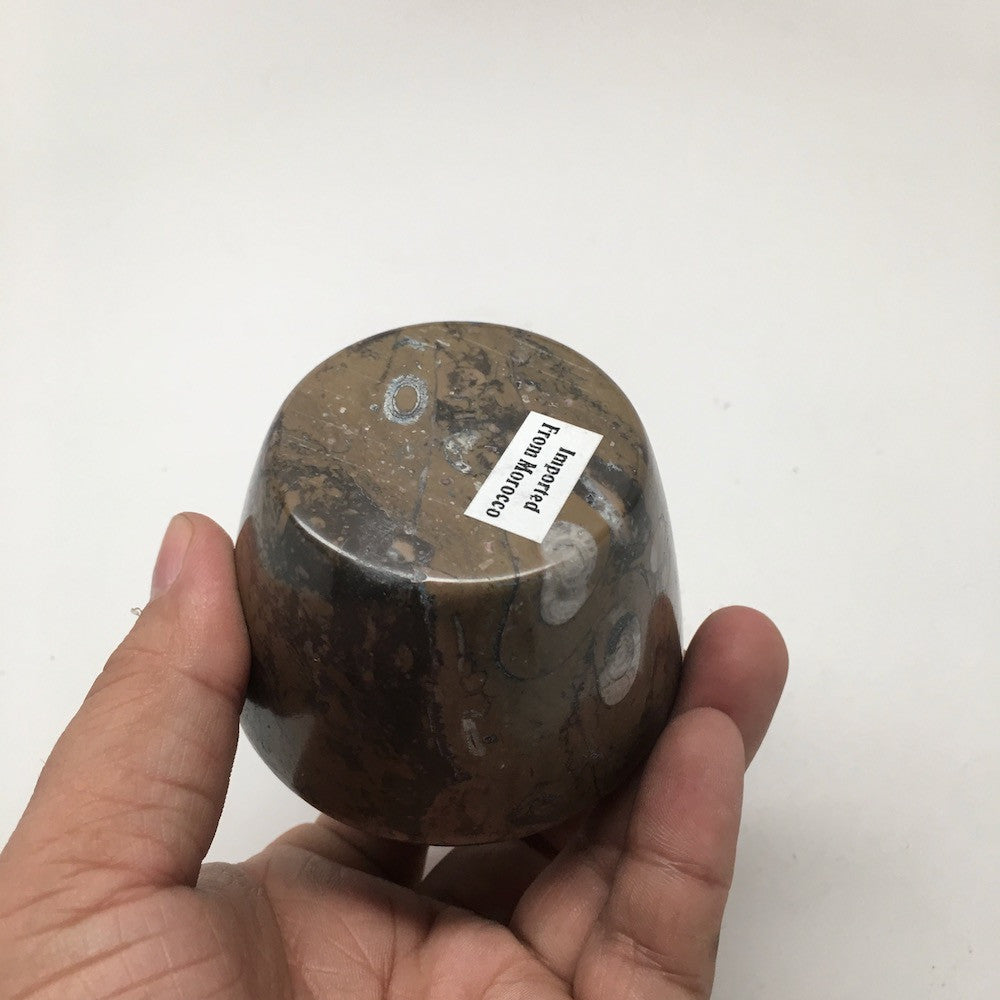 266g, 2.6"x2.7" Small Round Fossils Ammonite Brown Jewelry Box @Morocco,MF861 - watangem.com