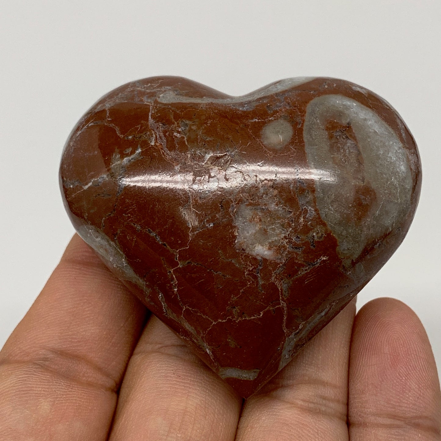 87.6g,2"x2.2"x1"Natural Untreated Red Shell Fossils Heart Reiki Energy,F928