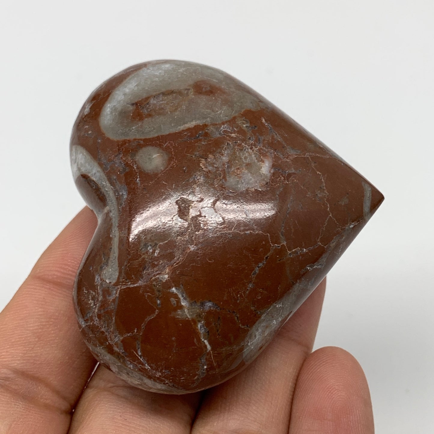 87.6g,2"x2.2"x1"Natural Untreated Red Shell Fossils Heart Reiki Energy,F928