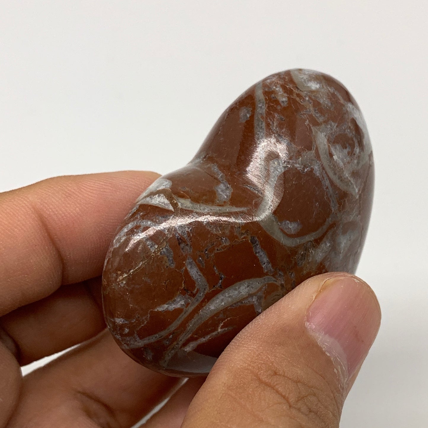 87.6g,2"x2.2"x1"Natural Untreated Red Shell Fossils Heart Reiki Energy,F928